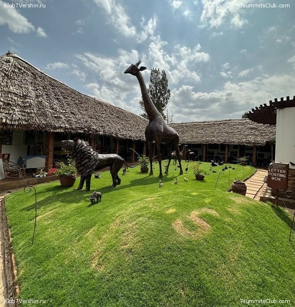 ������������ 2023. �������. �. ���������. ������ �������, ���� 24