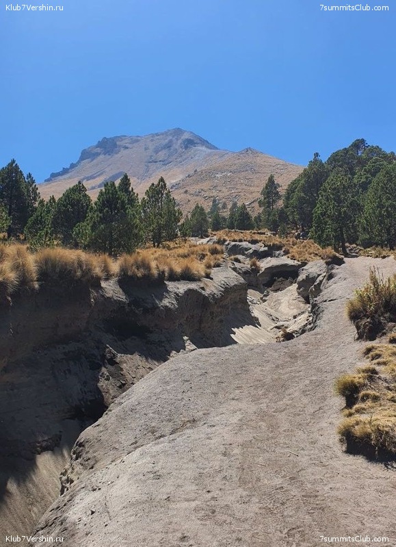 �������. ������� 2023, ����. �������, ���� 74