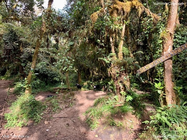 ������������. ���� 2023 ����. 3-� ������ �. ����������, ���� 70