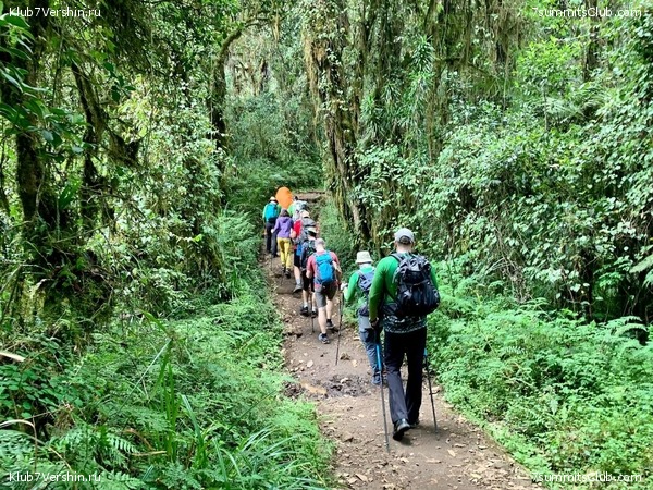 ������������. ���� 2023 ����. 3-� ������ �. ����������, ���� 71