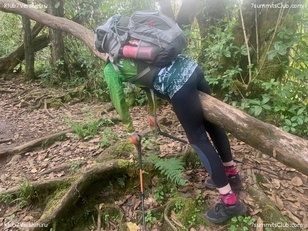 ������������. ���� 2023 ����. 3-� ������ �. ����������, ���� 72