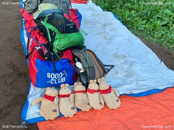 ������������. ���� 2023 ����. 3-� ������ �. ����������, ���� 63