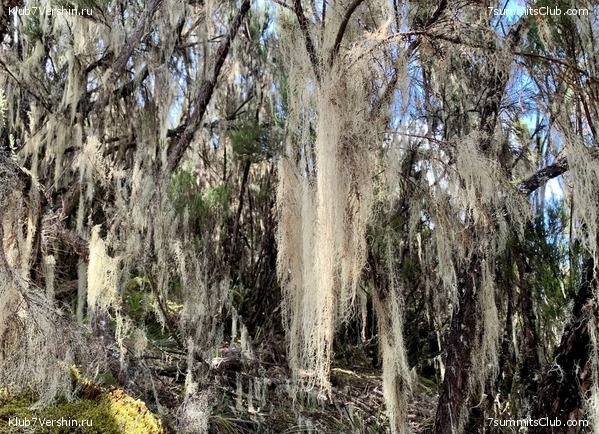 ������������. ���� 2023 ����. 3-� ������ �. ����������, ���� 57