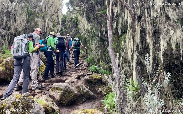 ������������. ���� 2023 ����. 3-� ������ �. ����������, ���� 10