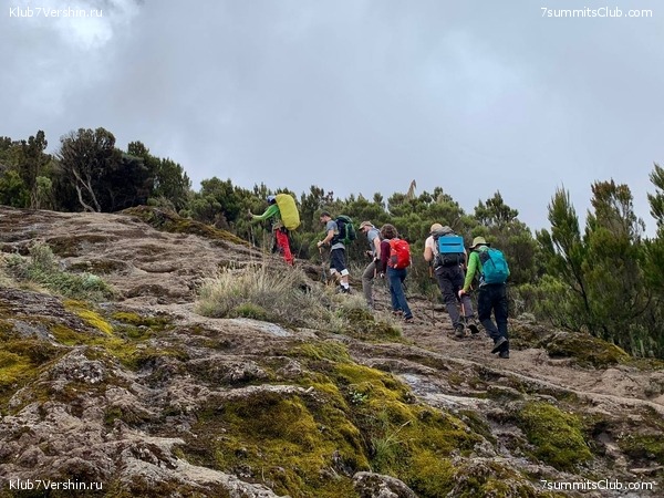 ������������. ���� 2023 ����. 3-� ������ �. ����������, ���� 75