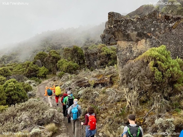 ������������. ���� 2023 ����. 3-� ������ �. ����������, ���� 78