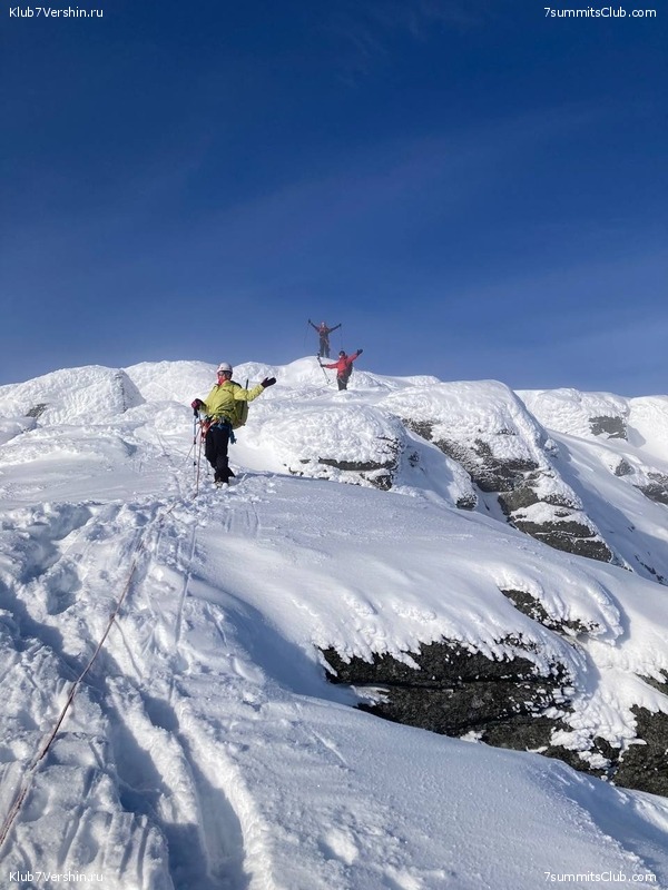 ������ ����� � �������. ���� 2023 ����, ���� 115