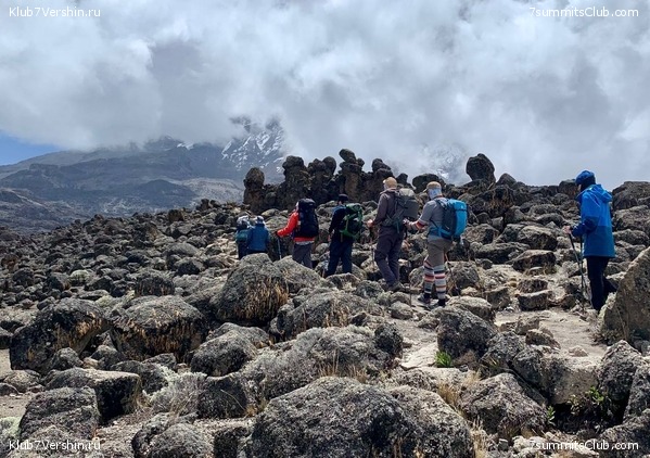 ������������. ���� 2023 ����. 3-� ������ �. ����������, ���� 49