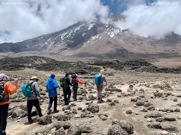 ������������. ���� 2023 ����. 3-� ������ �. ����������, ���� 81