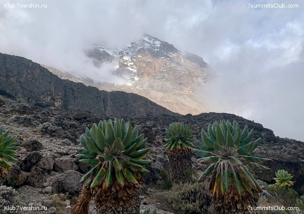 ������������. ���� 2023 ����. 3-� ������ �. ����������, ���� 50