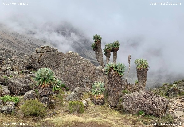 ������������. ���� 2023 ����. 3-� ������ �. ����������, ���� 45