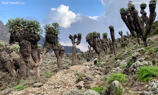 ������������. ���� 2023 ����. 3-� ������ �. ����������, ���� 5