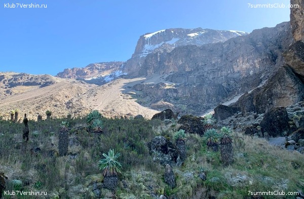 ������������. ���� 2023 ����. 3-� ������ �. ����������, ���� 24