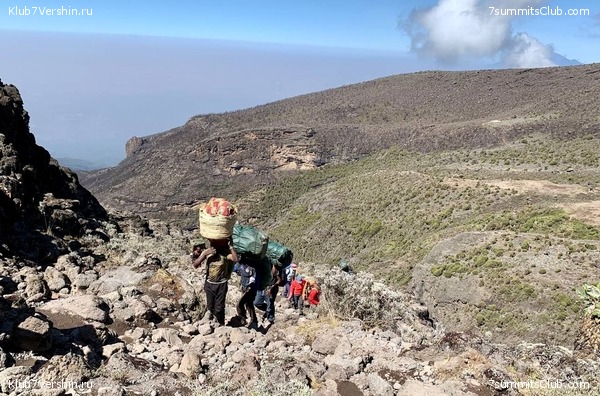 .  2023 . 3-  . ,  28