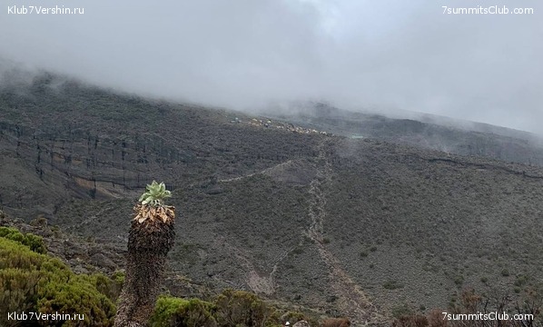 ������������. ���� 2023 ����. 3-� ������ �. ����������, ���� 6