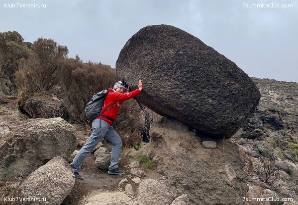 ������������. ���� 2023 ����. 3-� ������ �. ����������, ���� 46