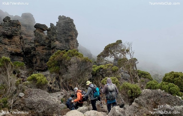 ������������. ���� 2023 ����. 3-� ������ �. ����������, ���� 16