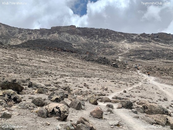 .  2023 . 3-  . ,  86