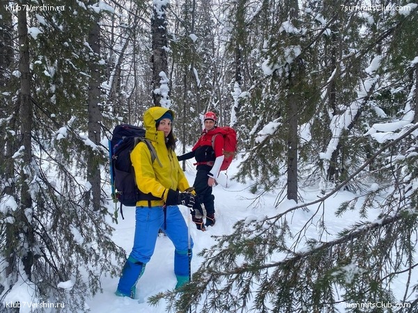 ������ ����� � �������. ���� 2023 ����, ���� 72