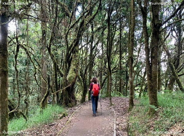 ������������. ���� 2023 ����. 3-� ������ �. ����������, ���� 61