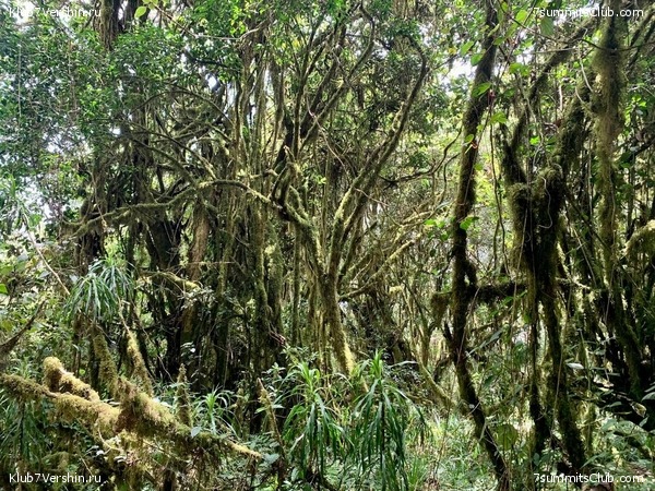 ������������. ���� 2023 ����. 3-� ������ �. ����������, ���� 91