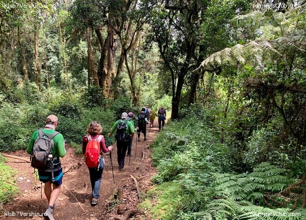 ������������. ���� 2023 ����. 3-� ������ �. ����������, ���� 59