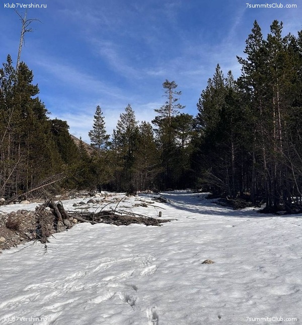 ����� ���������� � ��������, ������, ����������. 2023 ��� 1-� ������, ���� 17