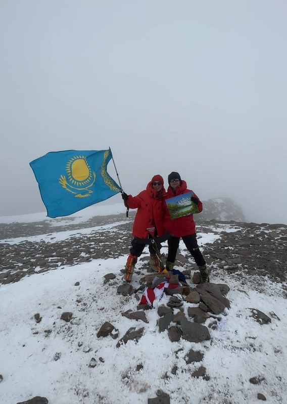 00-��������� �������, ���� 115