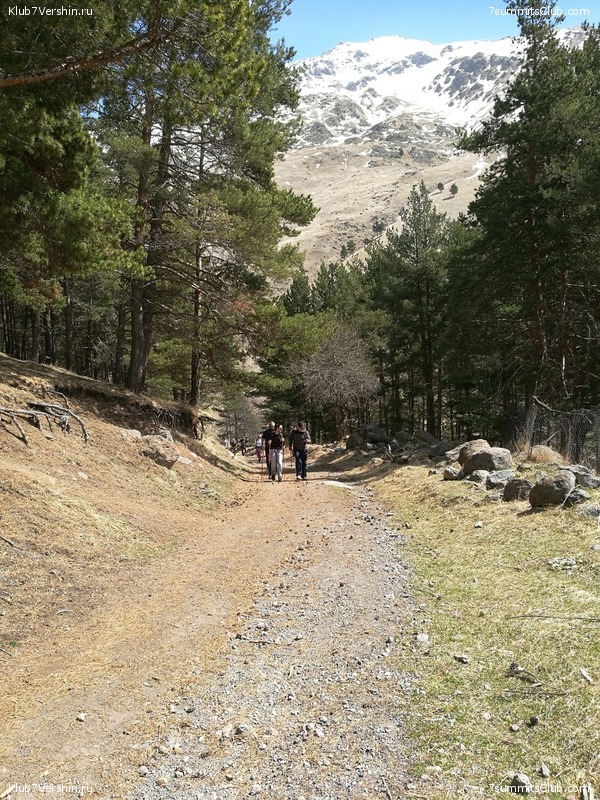 ������� �������� �� ����, ���� 8