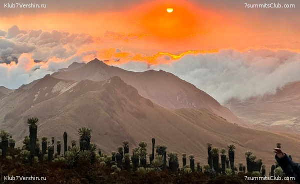 �������� 2023, �������. ����� ������, ���� 20