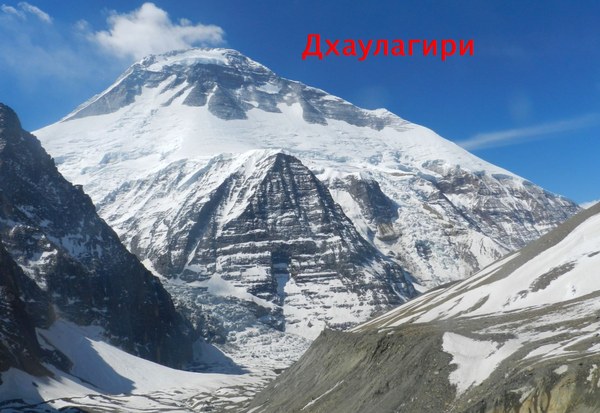 ������� �� �������� 2023, ���� 99