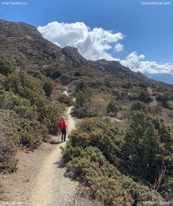 �������� � ������� ���������. ����� 2023 ����, ���� 33