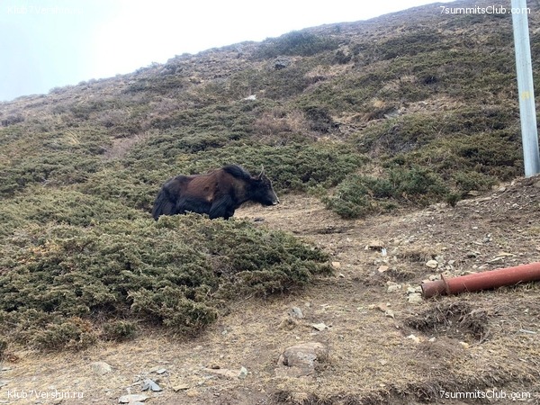 �������� � ������� ���������. ����� 2023 ����, ���� 12