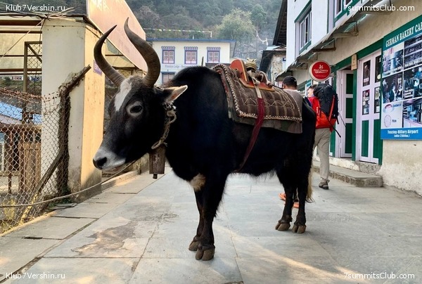 ���� ��� 2023 ������ ����� ���������, ���� 51