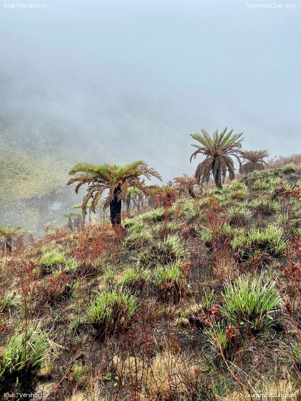 ������ 2023. ������. ����� ������, ���� 39