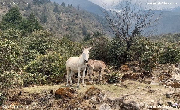 ���� ��� 2023 ������ ����� ���������, ���� 18