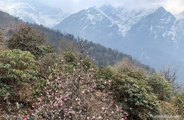 ���� ��� 2023 ������ ����� ���������, ���� 36