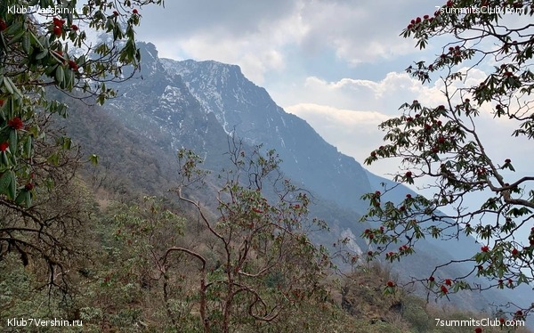 ���� ��� 2023 ������ ����� ���������, ���� 22