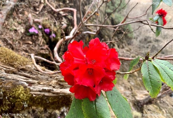 ���� ��� 2023 ������ ����� ���������, ���� 63