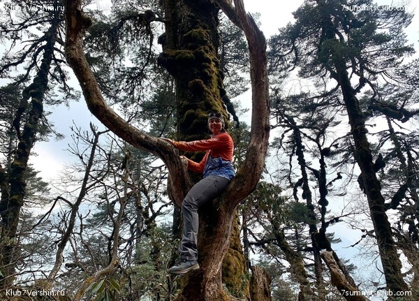 ���� ��� 2023 ������ ����� ���������, ���� 106