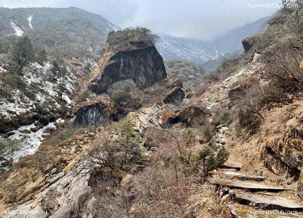 ���� ��� 2023 ������ ����� ���������, ���� 107