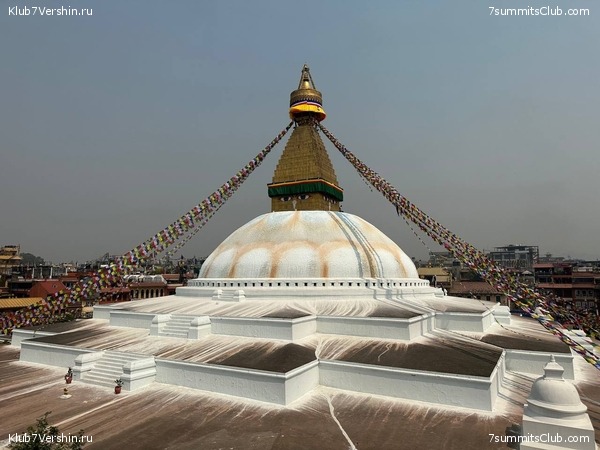 ������� 2023. ���������� ����� 8000. ������ �������. ������, ���� 29