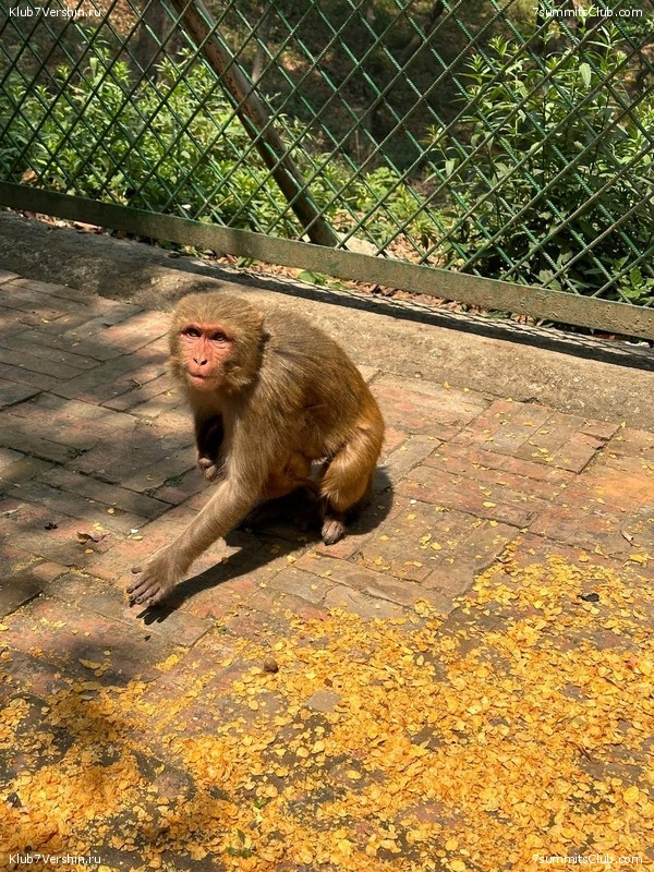 ������� 2023. ���������� ����� 8000. ������ �������. ������, ���� 106