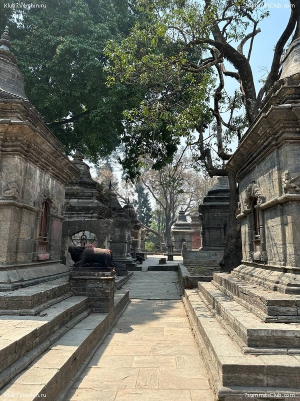 ������� 2023. ���������� ����� 8000. ������ �������. ������, ���� 107