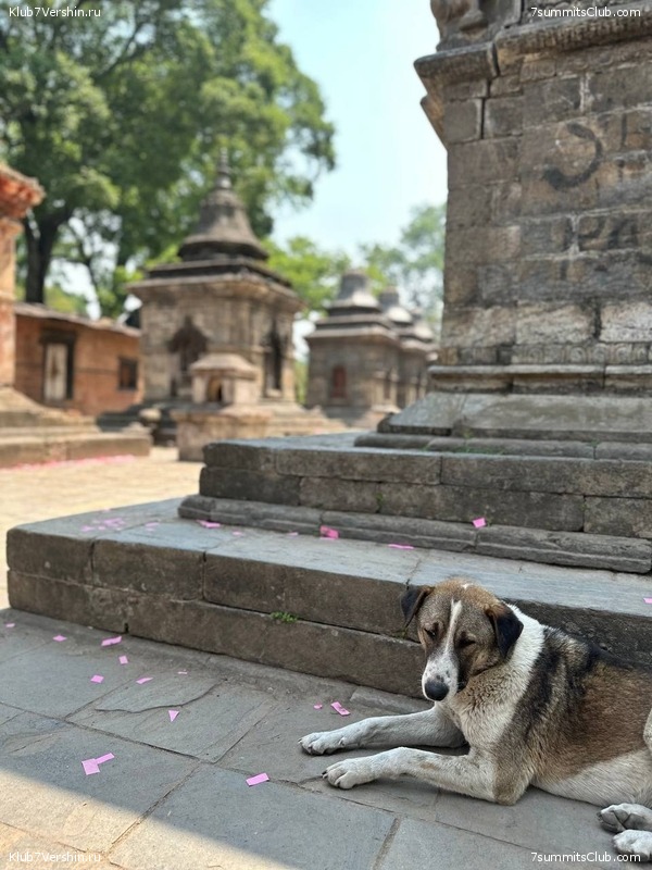 ������� 2023. ���������� ����� 8000. ������ �������. ������, ���� 108