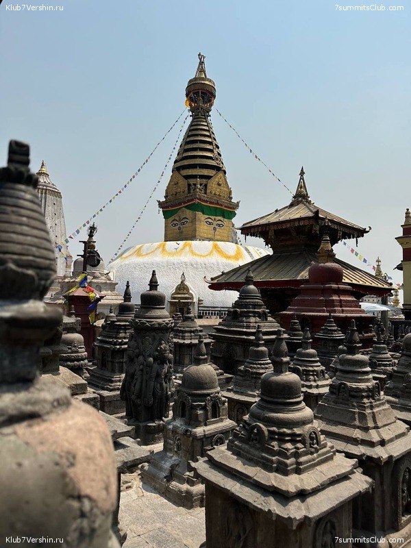 ������� 2023. ���������� ����� 8000. ������ �������. ������, ���� 111