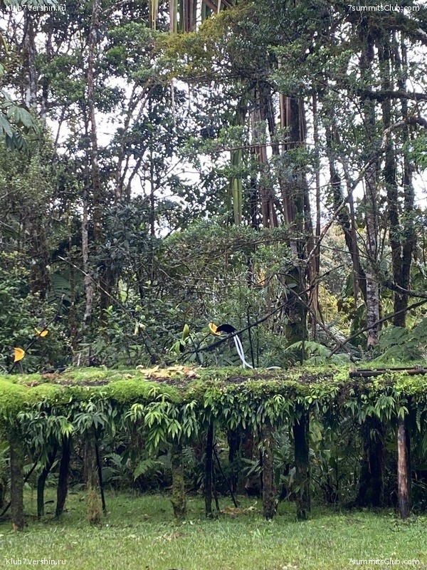 ������ 2023. ������. ����� ������, ���� 58