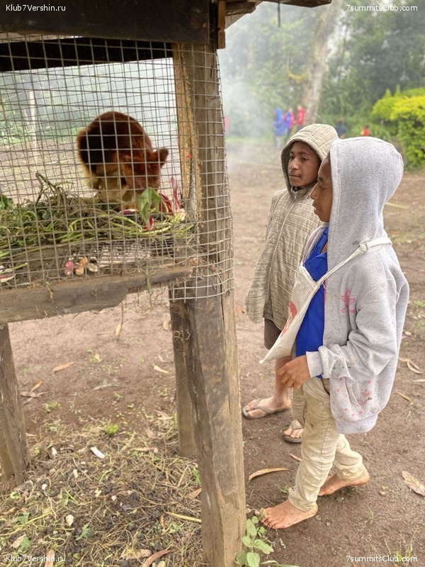 ������ 2023. ������. ����� ������, ���� 59