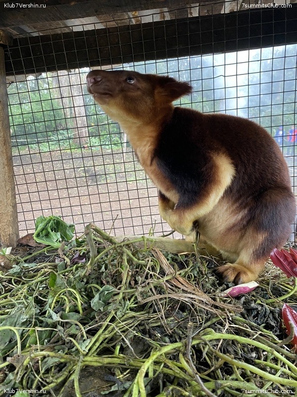 ������ 2023. ������. ����� ������, ���� 60