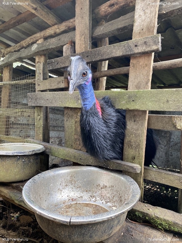 ������ 2023. ������. ����� ������, ���� 63